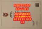 制作伦敦南岸大学毕业证，英国LSBU文凭成绩单购买