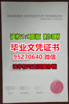 办理斯威本科技大学毕业证成绩单，定制SUT文凭证书