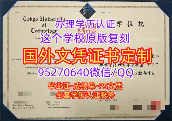 Read more about the article 如何办日本埼玉大学毕业证书？日本大学文凭成绩单