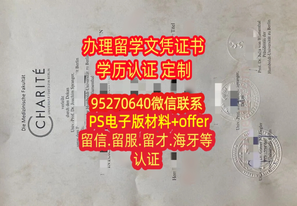 You are currently viewing 买柏林夏里特医学院文凭毕业证书