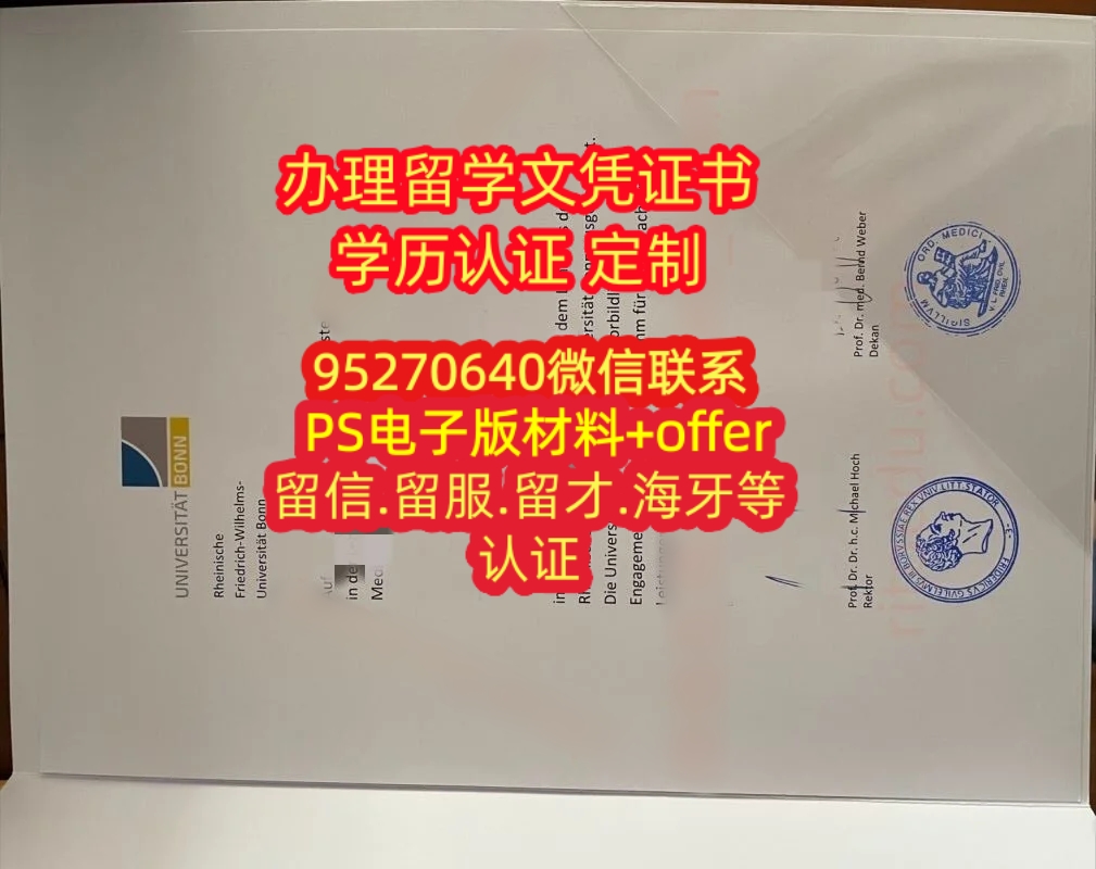 You are currently viewing 波恩莱茵弗里德里希·威廉大学毕业证Bonn成绩单德国Bonn学历认证