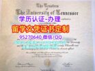 田纳西大学毕业证购买|办美国UT文凭成绩单学位证证书