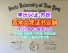 纽约州立大学奥尔巴尼分校毕业证，硕士学位证书办理