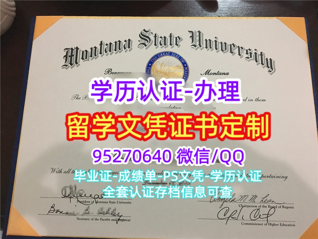 You are currently viewing 复刻蒙大拿州立大学本科毕业证，购买MSU文凭证书