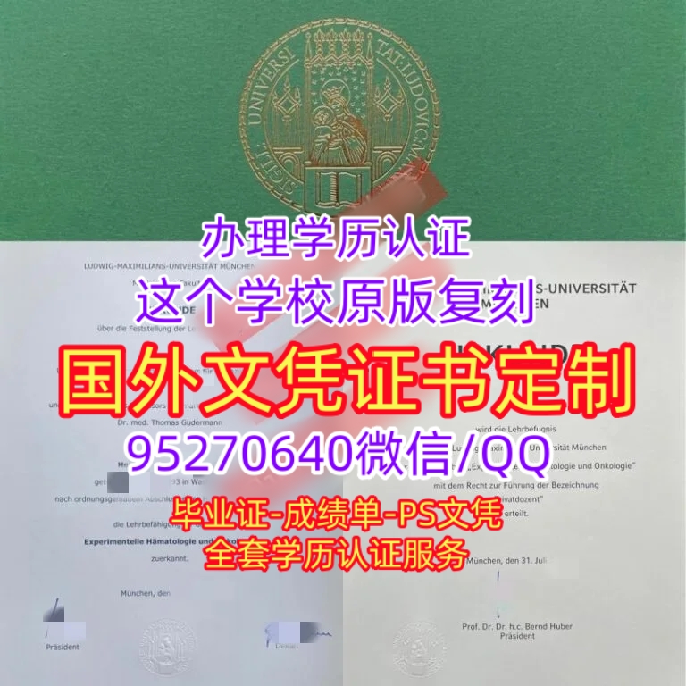 Read more about the article 慕路德维慕尼黑大学毕业证毕业证购买，LMU毕业证