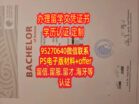 达姆施塔特工业大学毕业证成绩单，德国毕业文凭购买