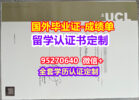 UCL毕业证