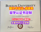 BU毕业证
