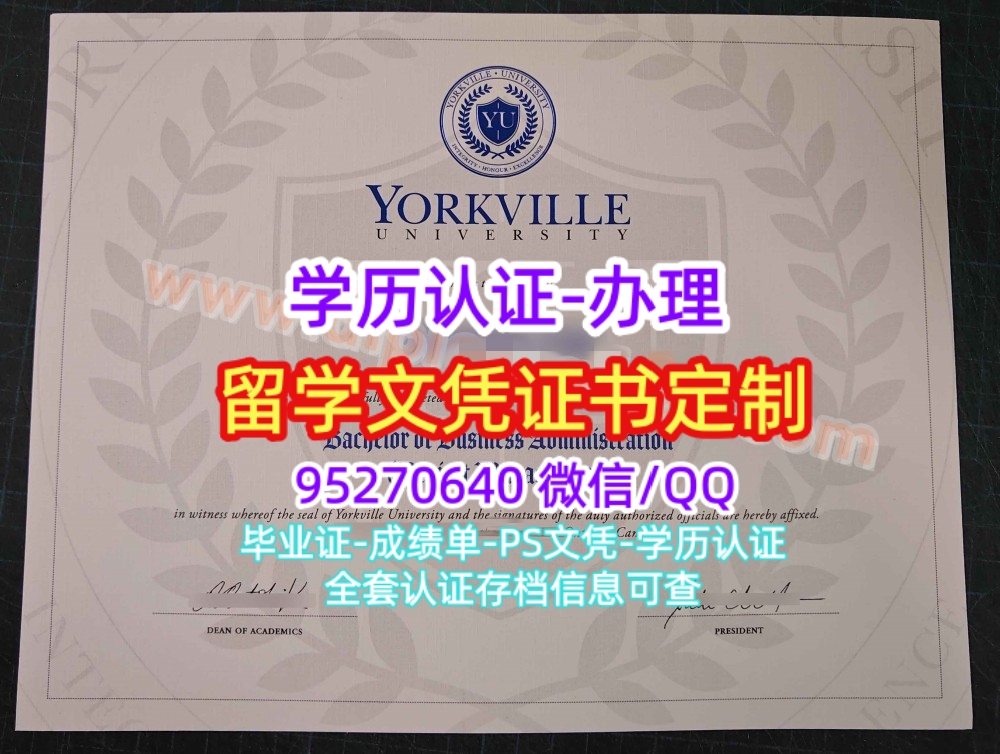 You are currently viewing 约克维尔大学毕业证文凭学位证Yorkville University学历认证