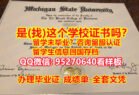 密歇根州立大学毕业证#〖95270640微信〗办理MSU毕业证成绩单/购买大学学历认证/买大学毕业证文凭学历办理Michigan State University